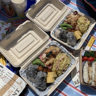 picnic