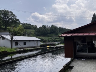 Aso Trip